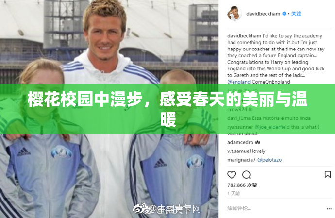 樱花校园中漫步，感受春天的美丽与温暖