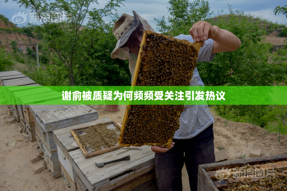 谢俞被质疑为何频频受关注引发热议