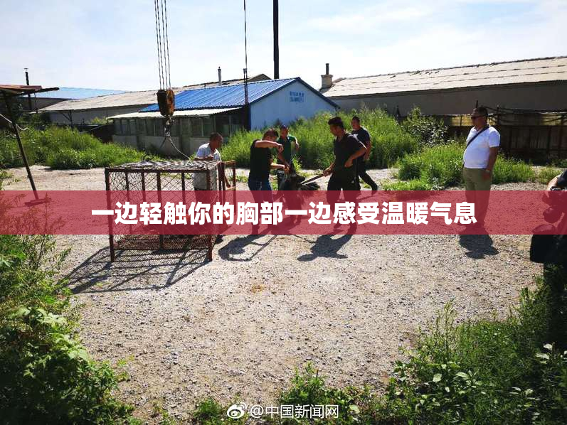 一边轻触你的胸部一边感受温暖气息