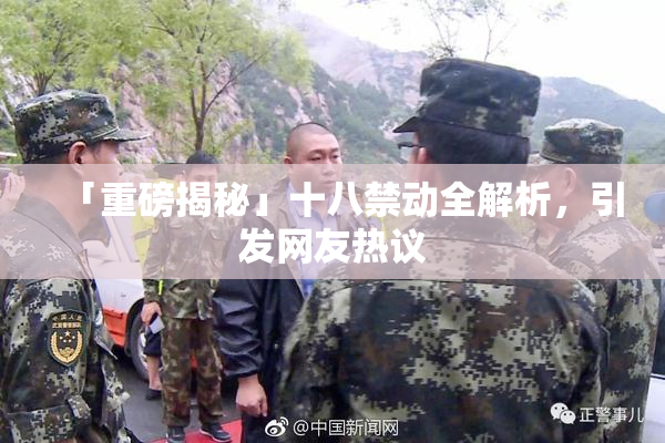 「重磅揭秘」十八禁动全解析，引发网友热议