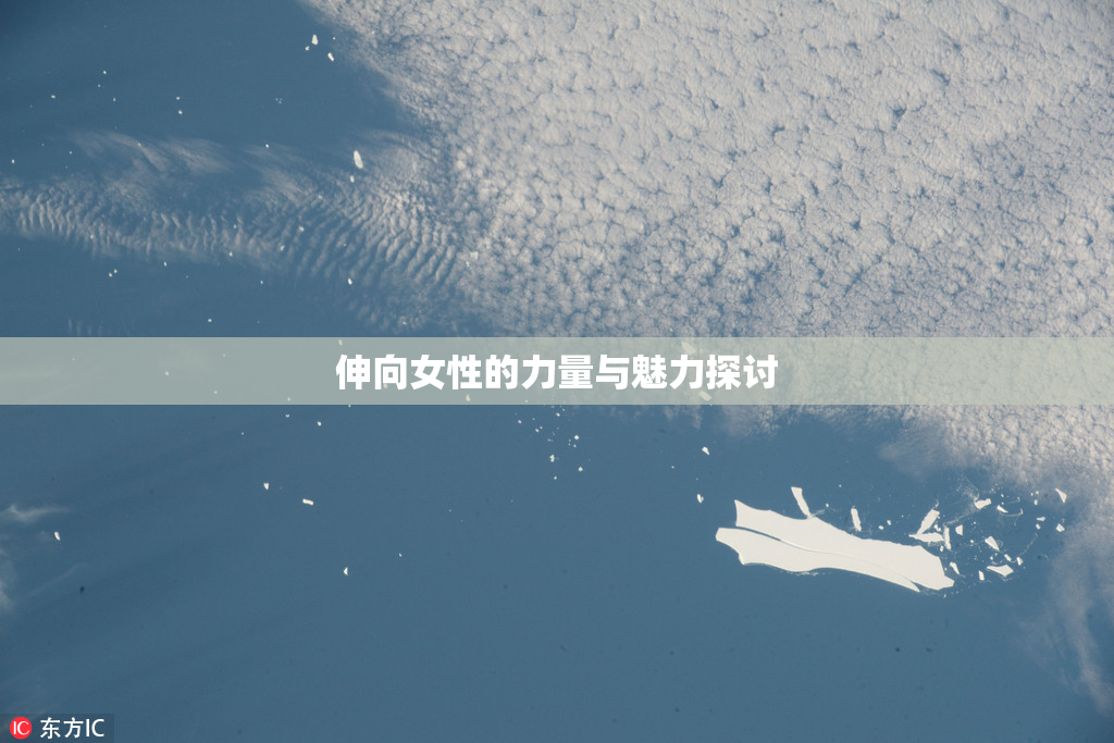 伸向女性的力量与魅力探讨