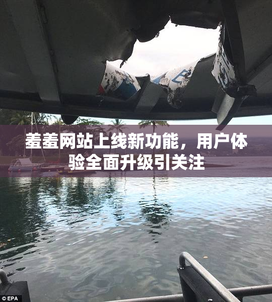 羞羞网站上线新功能，用户体验全面升级引关注