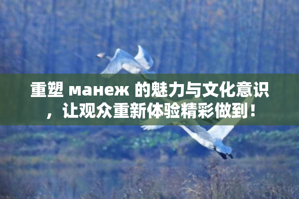 重塑 манеж 的魅力与文化意识，让观众重新体验精彩做到！