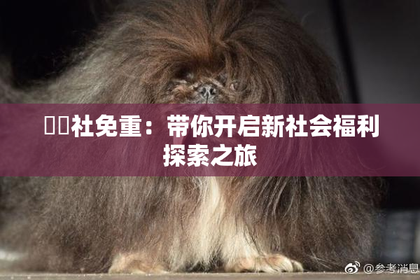 擼擼社免重：带你开启新社会福利探索之旅