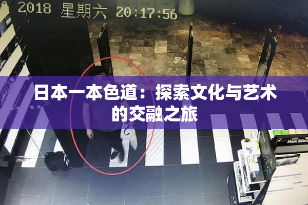 日本一本色道：探索文化与艺术的交融之旅