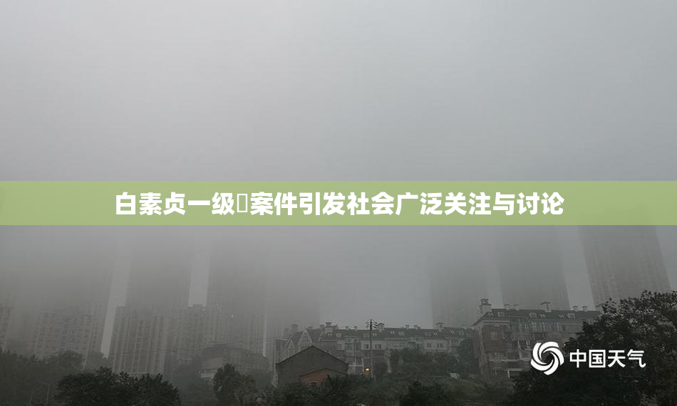 白素贞一级婬案件引发社会广泛关注与讨论