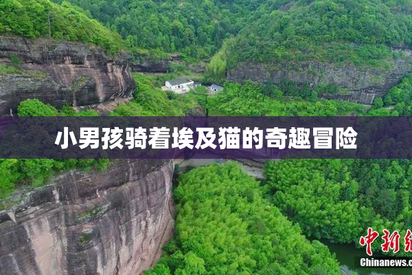 小男孩骑着埃及猫的奇趣冒险