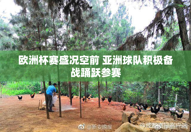 欧洲杯赛盛况空前 亚洲球队积极备战踊跃参赛