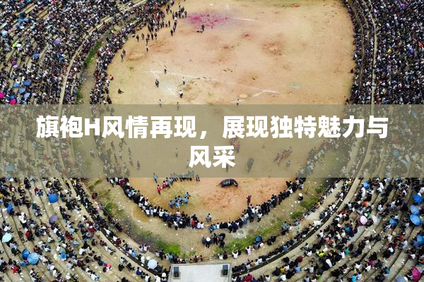 旗袍H风情再现，展现独特魅力与风采