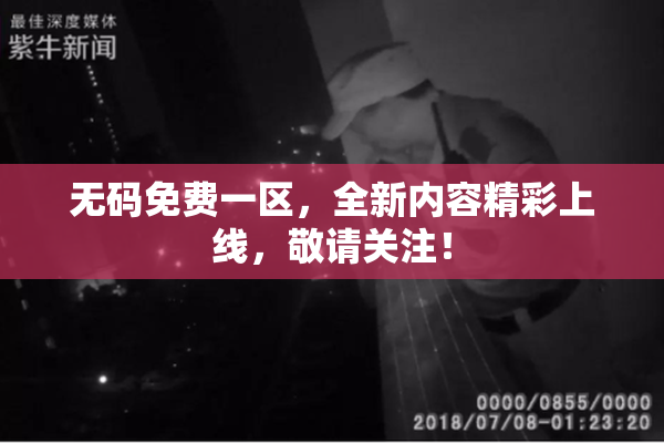 无码免费一区，全新内容精彩上线，敬请关注！