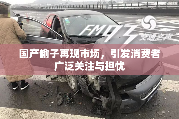 国产偷子再现市场，引发消费者广泛关注与担忧
