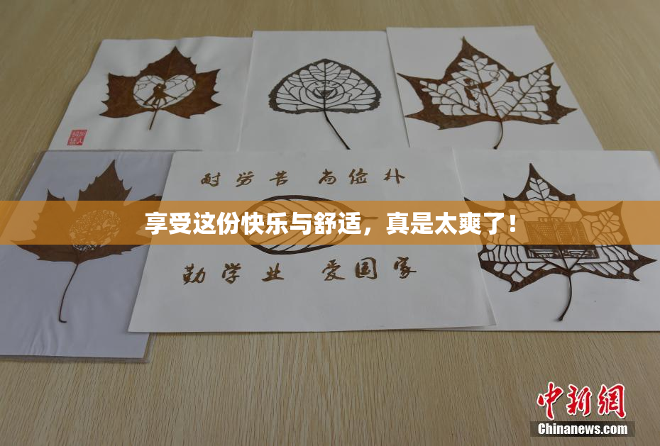 享受这份快乐与舒适，真是太爽了！