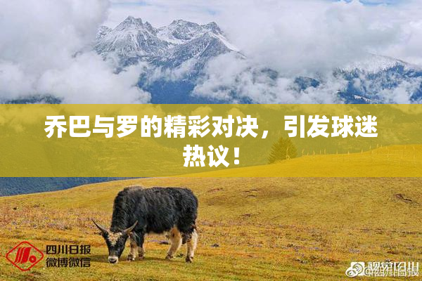 乔巴与罗的精彩对决，引发球迷热议！