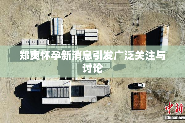 郑爽怀孕新消息引发广泛关注与讨论