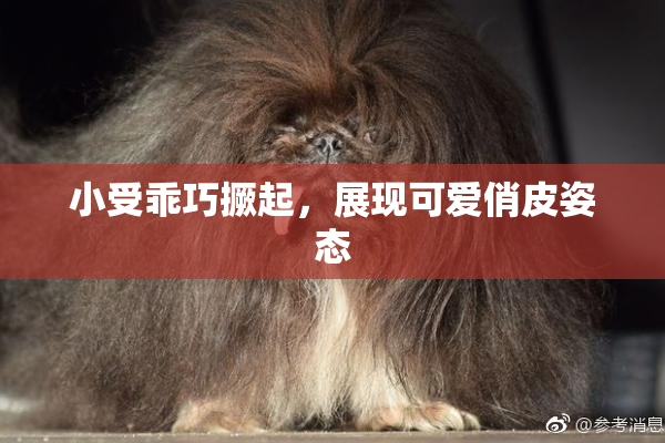 小受乖巧撅起，展现可爱俏皮姿态