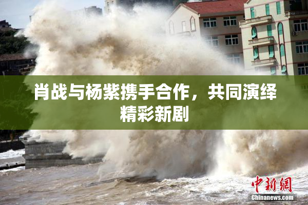 肖战与杨紫携手合作，共同演绎精彩新剧