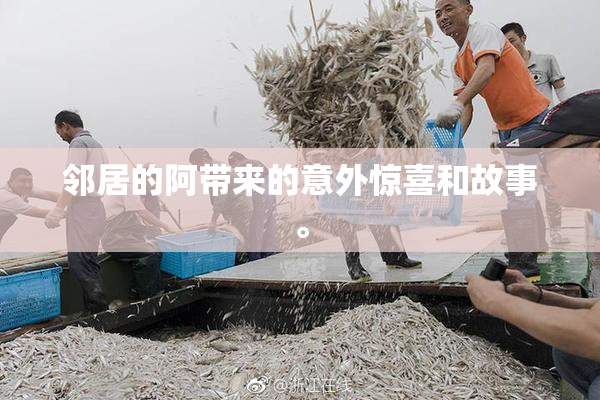 邻居的阿带来的意外惊喜和故事。