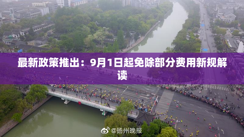 最新政策推出：9月1日起免除部分费用新规解读