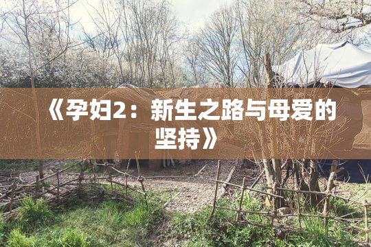 《孕妇2：新生之路与母爱的坚持》
