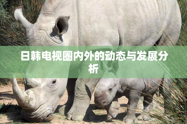 日韩电视圈内外的动态与发展分析