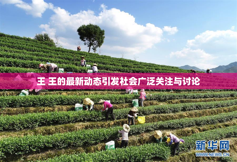 王 王的最新动态引发社会广泛关注与讨论