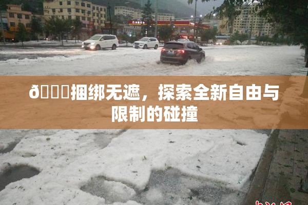 🔞捆绑无遮，探索全新自由与限制的碰撞
