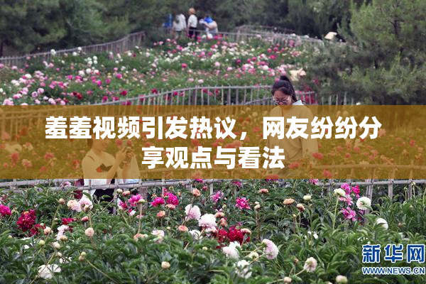 羞羞视频引发热议，网友纷纷分享观点与看法
