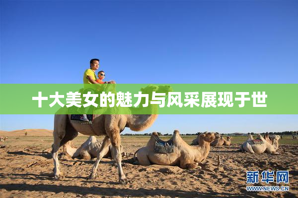 十大美女的魅力与风采展现于世