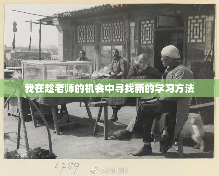 我在趁老师的机会中寻找新的学习方法