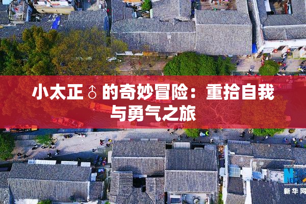 小太正♂的奇妙冒险：重拾自我与勇气之旅