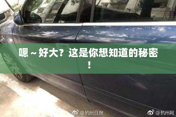 嗯～好大？这是你想知道的秘密！