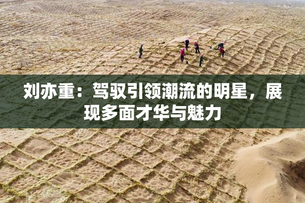 刘亦重：驾驭引领潮流的明星，展现多面才华与魅力