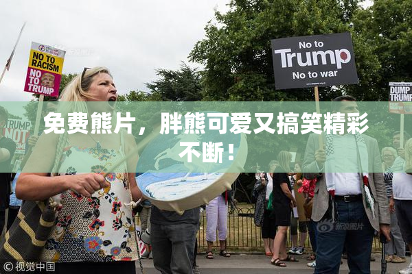 免费熊片，胖熊可爱又搞笑精彩不断！