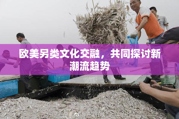 欧美另类文化交融，共同探讨新潮流趋势
