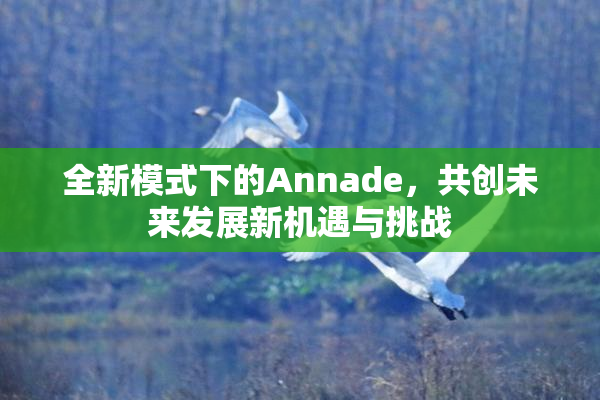 全新模式下的Annade，共创未来发展新机遇与挑战