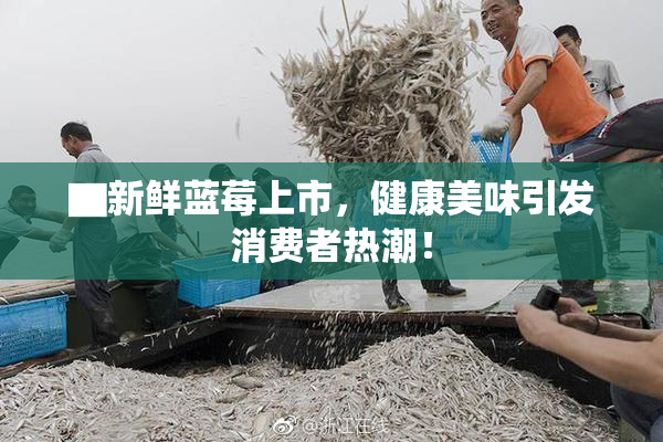 ▇新鲜蓝莓上市，健康美味引发消费者热潮！