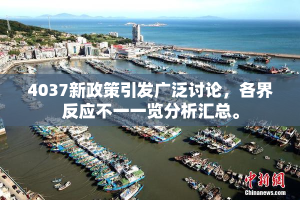 4037新政策引发广泛讨论，各界反应不一一览分析汇总。
