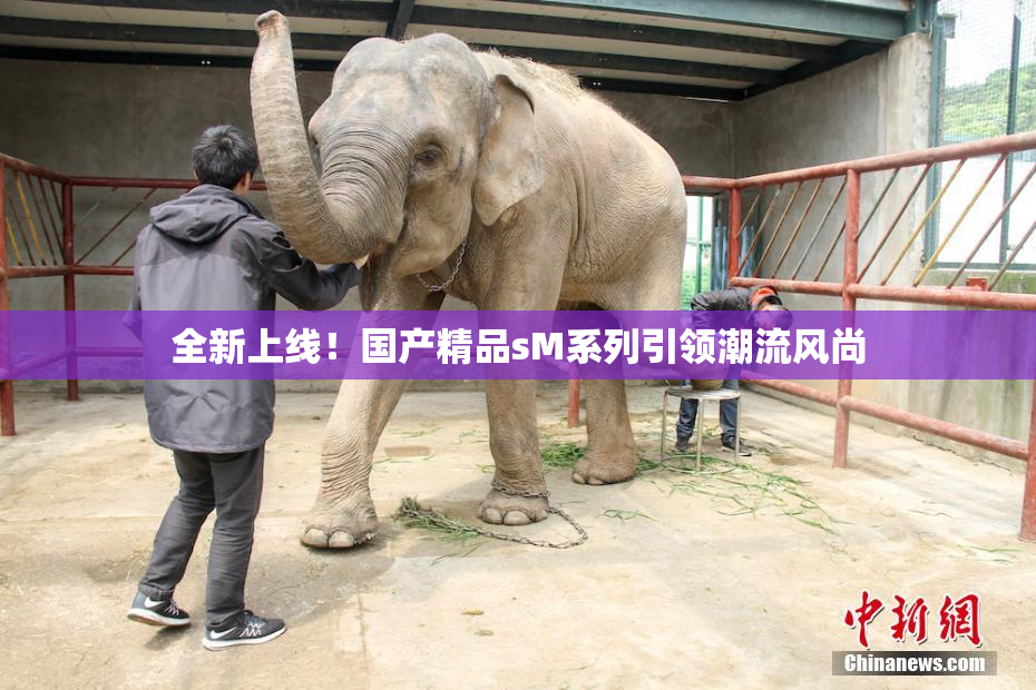 全新上线！国产精品sM系列引领潮流风尚