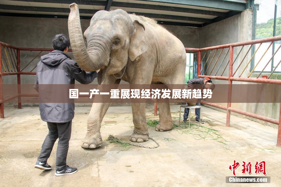 国一产一重展现经济发展新趋势