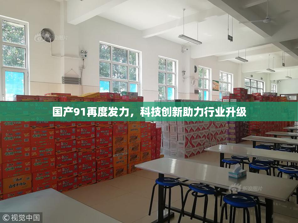 国产91再度发力，科技创新助力行业升级