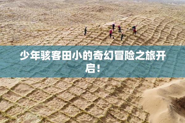 少年骇客田小的奇幻冒险之旅开启！