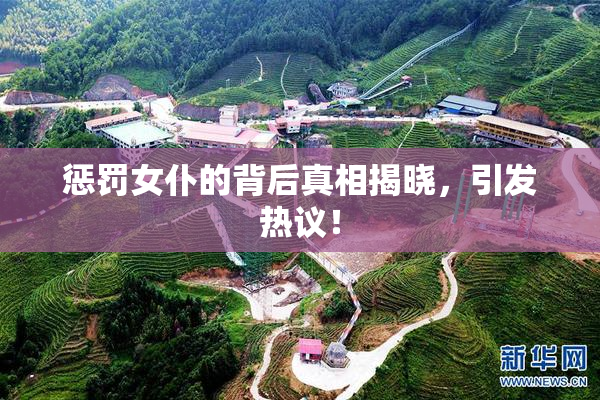 惩罚女仆的背后真相揭晓，引发热议！
