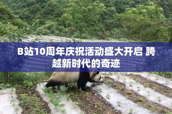 B站10周年庆祝活动盛大开启 跨越新时代的奇迹