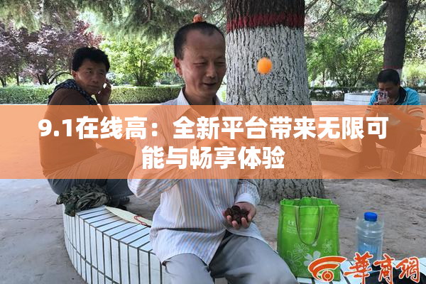 9.1在线高：全新平台带来无限可能与畅享体验