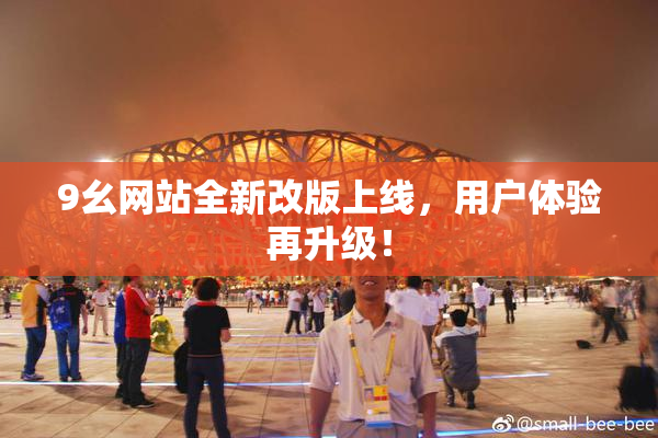 9幺网站全新改版上线，用户体验再升级！