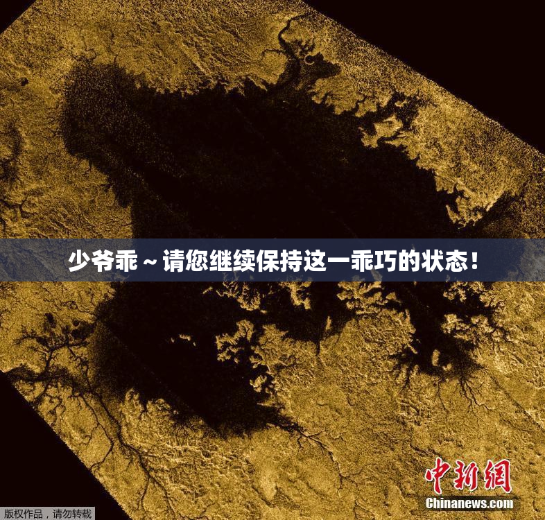 少爷乖～请您继续保持这一乖巧的状态！