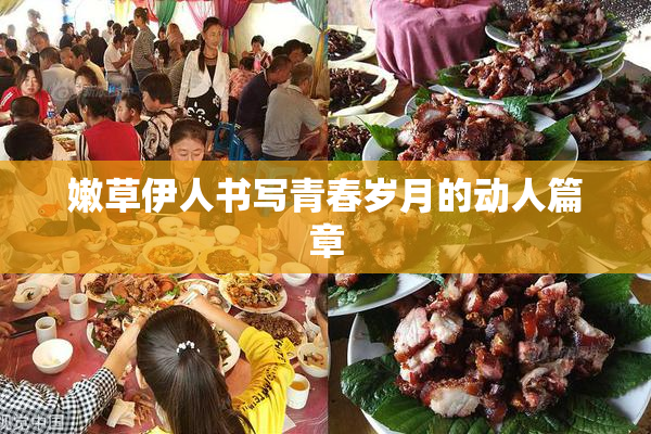 嫩草伊人书写青春岁月的动人篇章