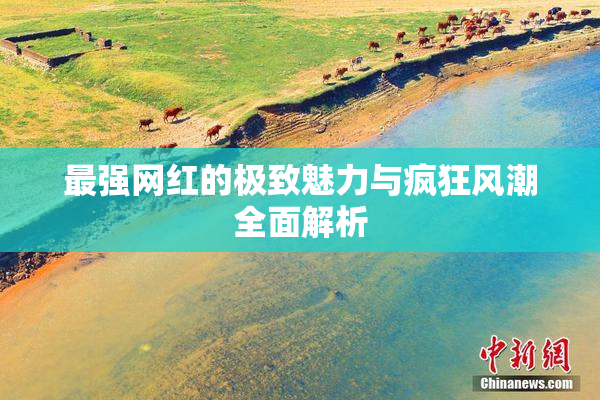 最强网红的极致魅力与疯狂风潮全面解析