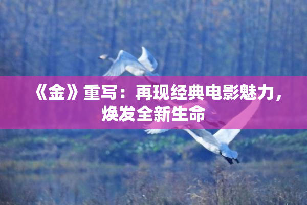 《金》重写：再现经典电影魅力，焕发全新生命