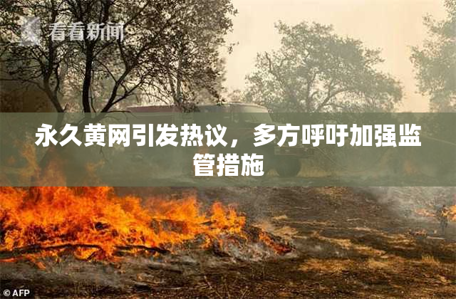 永久黄网引发热议，多方呼吁加强监管措施